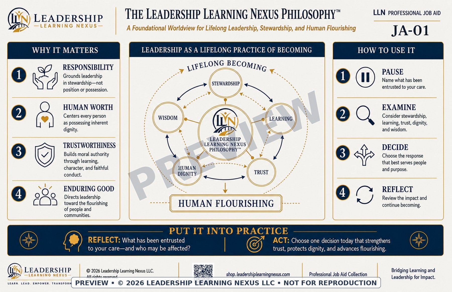 Leadership Learning Nexus Professional Job Aid Collection — Digital Download