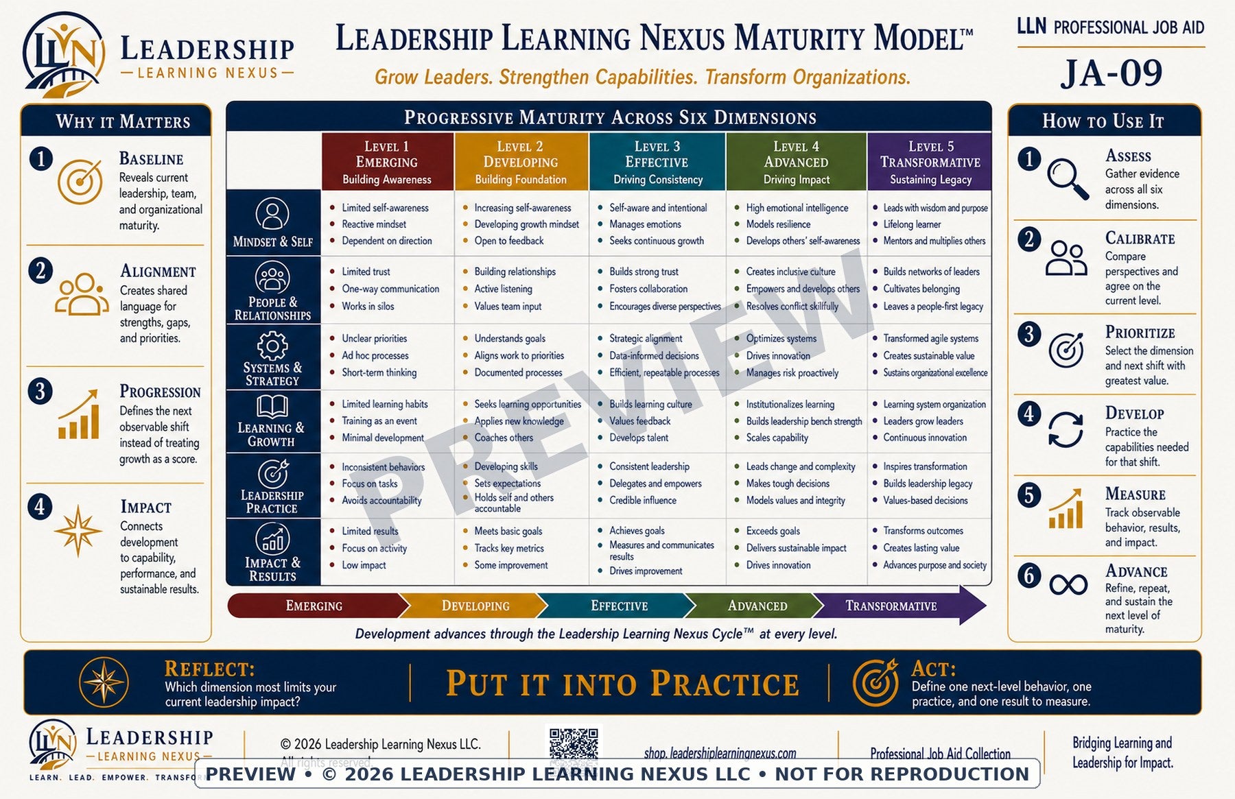 Leadership Learning Nexus Maturity Model™ — Digital Download
